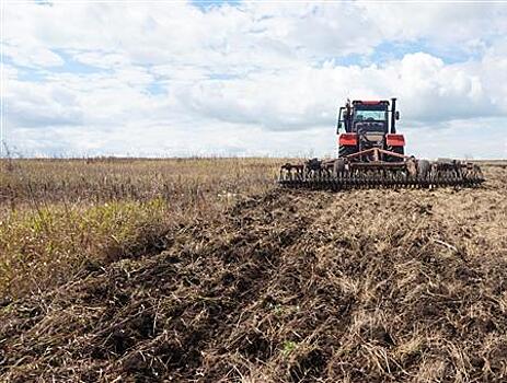 СИНКО вводит в оборот новые земли сельхозназначения