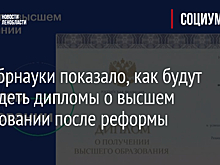 Минобрнауки показало, как будут выглядеть дипломы о высшем образовании после реформы