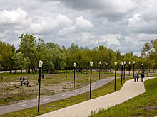 Хинштейн: первый поселок для вынужденных переселенцев появится в Курчатове