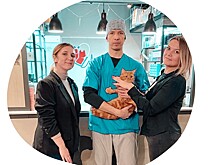 Нижегородские ветеринары спасли кота, съевшего кусок резинового ковра