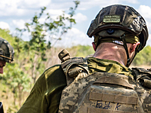 В США рассказали, что произошло на Украине