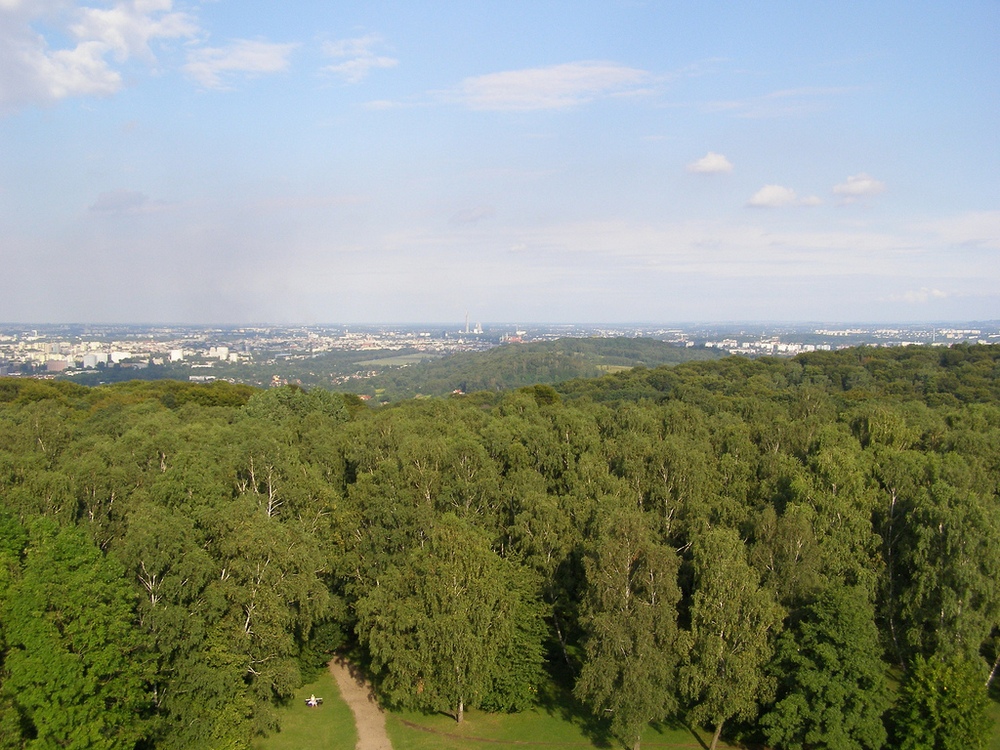 Вольский лес, Краков, Польша