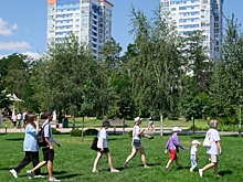 Комаров-гигантов заметили на волгоградских улицах в начале августа