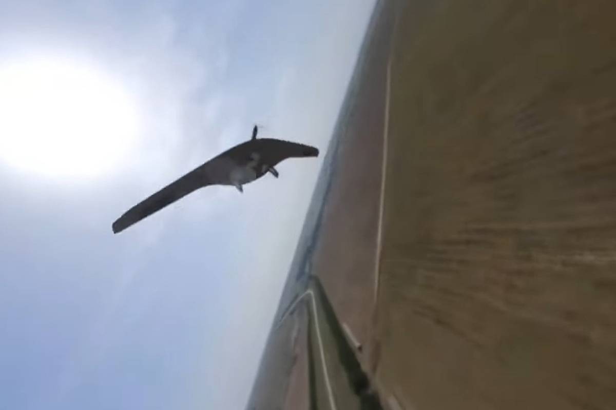 Российский дрон сравнили с автоматом Калашникова