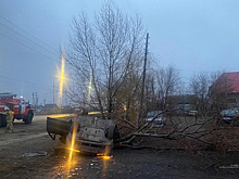 Под Волгоградом водитель &quot;ВАЗа&quot; насмерть врезался в дерево