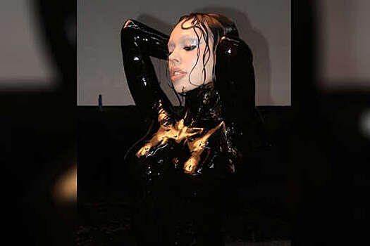 Арбитражный суд Мордовии зарегистрировал иск певицы Инстасамки к сети "Ебидоеби"