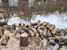 В Хабаровском крае полицейскими возбуждено уголовное дело о незаконной рубке лесных насаждений с общей суммой ущерба более 1 млн рублей