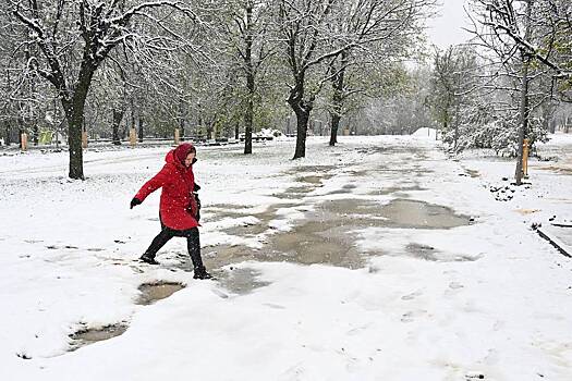 Москвичам назвали срок наступления метеорологической зимы