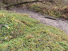 Курское Минприроды прокомментировало обмеление реки Кур