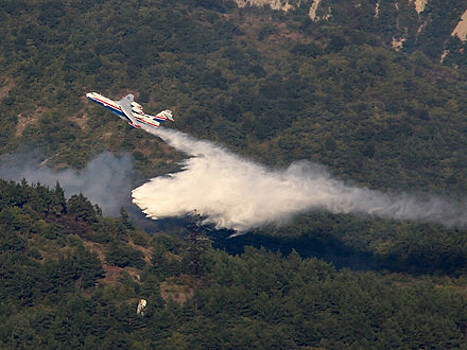 ИКАО поддержала инициативу России по международному сотрудничеству в применении авиации для тушения лесных пожаров