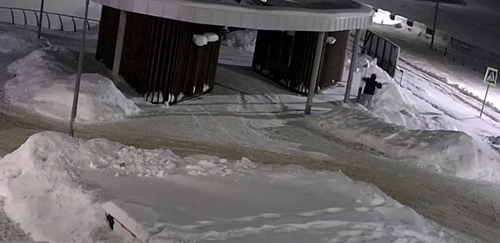 В Воткинске ищут мужчину, который сломал фонари в парке «Времена года»