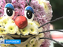 В Воронеже у Центрального парка к выставке «Город – сад» появится временная парковка