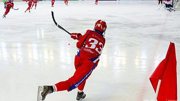 В Красноярске планируют открыть полпредство международной федерации по хоккею с мячом