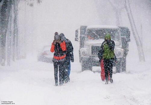 МЧС: Ночью в Саратовсокй области ожидается сильный снег и усиление ветра