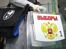В первый день информационного проекта ЦИК России в Запорожской области работало 618 групп