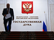 В Госдуме назвали новые санкции ЕС тактикой крысиных укусов