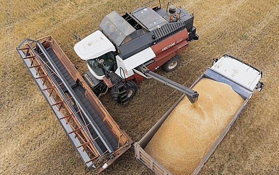 Экспорт российской пшеницы обрушился