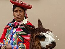 Почему некоторые народы никогда не пьянеют