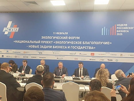 Российский бизнес стал активнее заниматься защитой природы