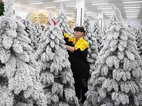 На Кубани производят все главные атрибуты Нового года — Кондратьев