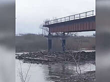 Шумков заявил об эвакуации жителей Нижней Утятки в Кургане из-за паводков