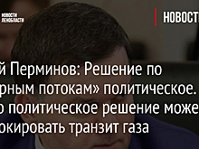 Сергей Перминов: Решение по «Северным потокам» политическое. И только политическое решение может разблокировать транзит газа