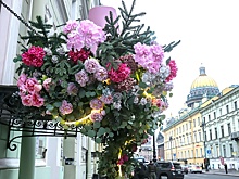 В Северной столице запретят украшать фасады искусственными растениями