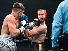 «Я голодный уличный пёс»