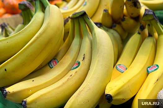 Эквадор предложил РФ проверить санитарные нормы после запрета на ввоз бананов