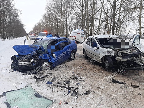 В Курской области в жёстком ДТП погиб 52-летний водитель