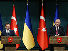 Эрдоган восславил Украину