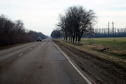 Учёные предложили высаживать лесополосы для адаптации сельского хозяйства Кубани к глобальному потеплению
