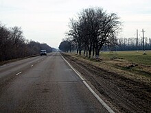 Учёные предложили высаживать лесополосы для адаптации сельского хозяйства Кубани к глобальному потеплению