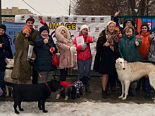Самарцы оценили новую площадку для выгула собак в Ленинском районе