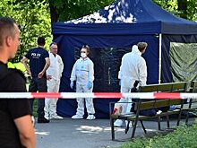 Убитый в Германии Хангошвили переправлял террористов в Сирию – СМИ