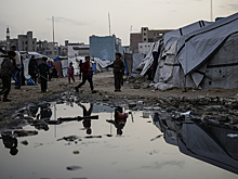 Политолог объяснил, почему Россия пропустит первое заседание «Совета мира»