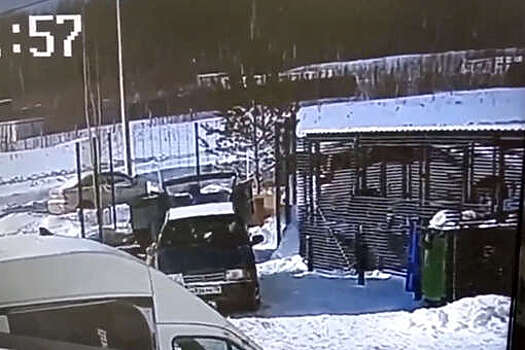 "Подъем": в Ярославле дворник напал на собиравшую картон пенсионерку