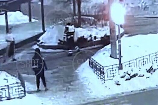 Закидывающие машину ДПС снежками россияне попали на видео