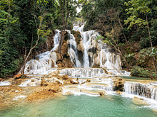 Американский учитель и его сын погибли от укусов в джунглях азиатской страны