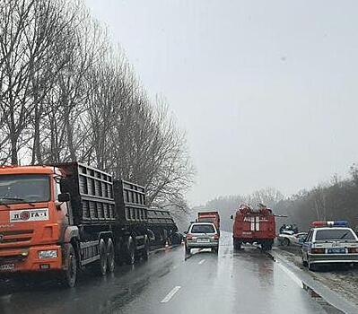 В аварии в Курской области пострадала женщина