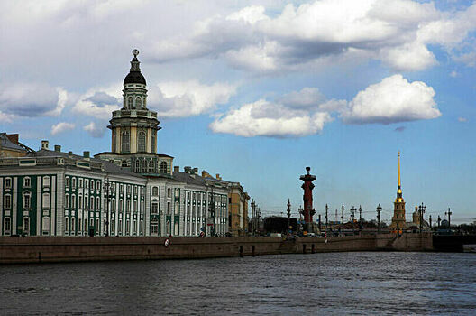 Кунсткамеру и Главный ботанический сад защитят от беспилотников