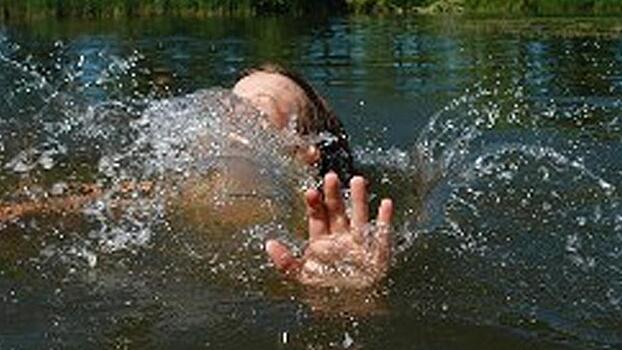 Двух девочек спасли во время купания в реке Вологде