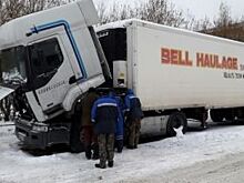 Ульяновские спасатели отогрели замерзающего дальнобойщика