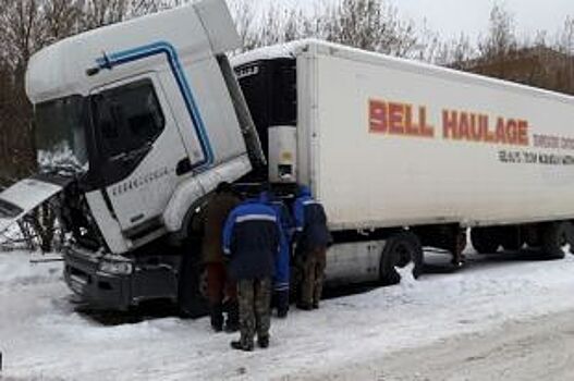 Ульяновские спасатели отогрели замерзающего дальнобойщика