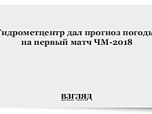 Гидрометцентр дал прогноз погоды на первый матч ЧМ-2018