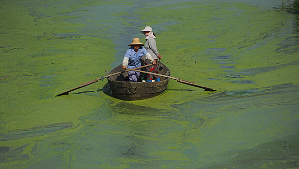 В Китае водоросли изменили цвет озера