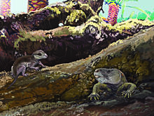 В триасе млекопитающие «экспериментировали» с формами челюсти