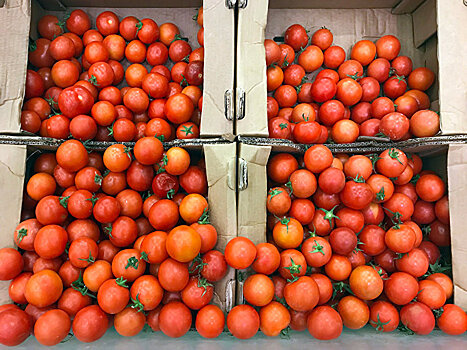 Россия и Турция преодолели томатный кризис