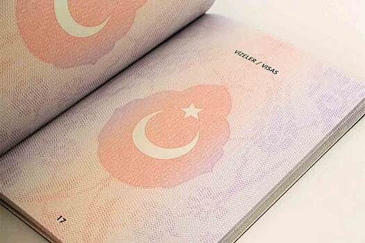Гражданство Турции по упрощенной процедуре пожелали получить более 200 инвесторов