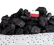 PGG: в Польше скупают уголь к зиме после запрета ввоза угля из России
